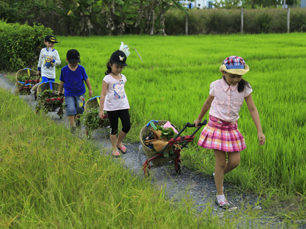 Ảnh bìa bài viết 474854