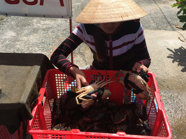 Ảnh bìa bài viết 475204