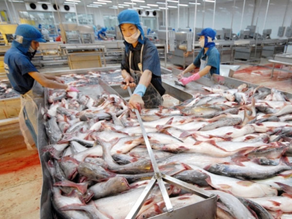 Ảnh bìa bài viết 475945