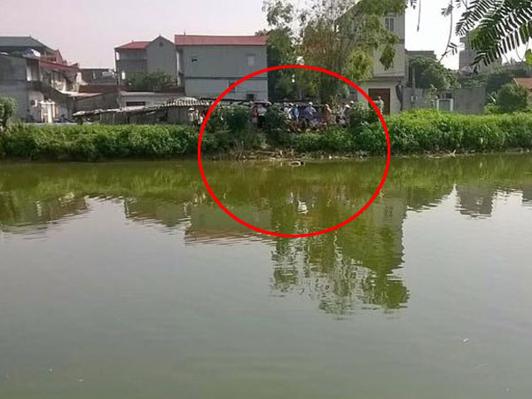 Ảnh bìa bài viết 477178