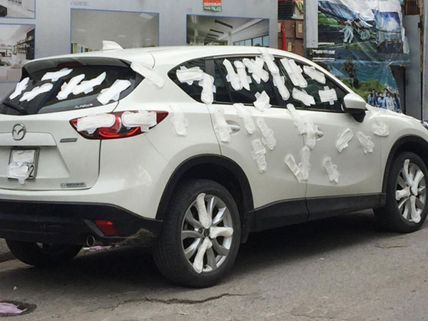 Ảnh bìa bài viết 477757