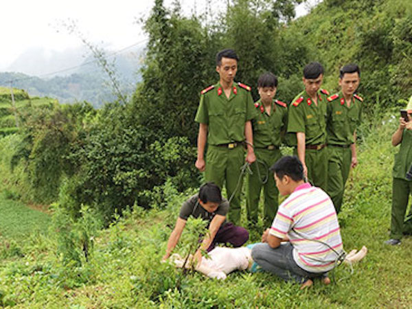 Ảnh bìa bài viết 477698