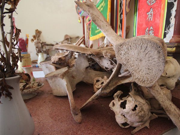 Ảnh bìa bài viết 478285