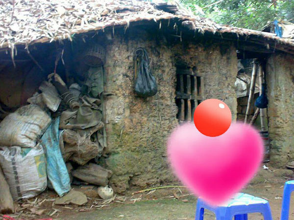 Ảnh bìa bài viết 478839