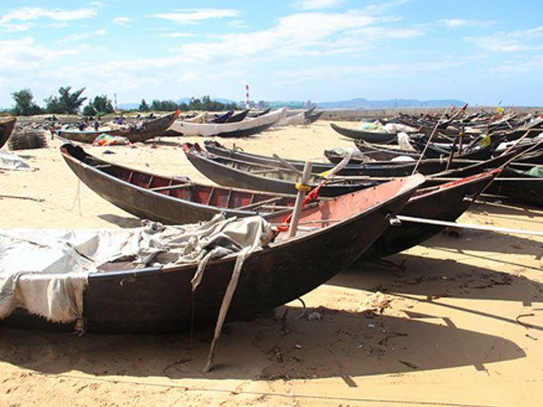 Ảnh bìa bài viết 479861