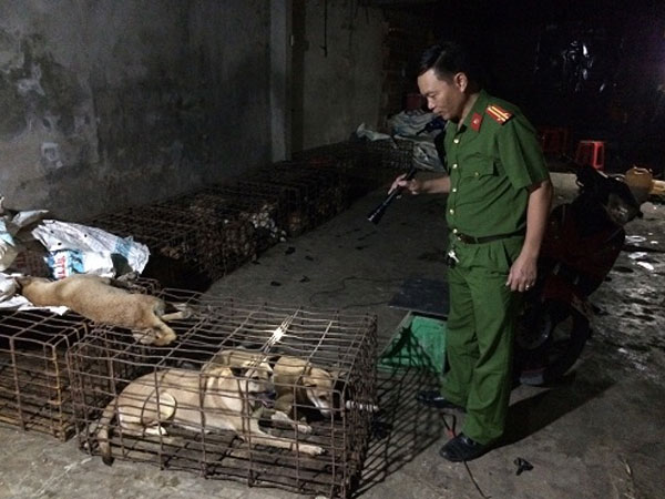 Ảnh bìa bài viết 481347