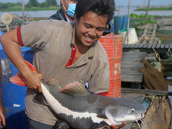 Ảnh bìa bài viết 481922