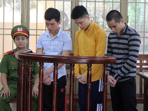 Ảnh bìa bài viết 482239