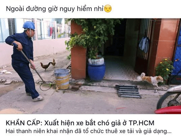 Ảnh bìa bài viết 482035