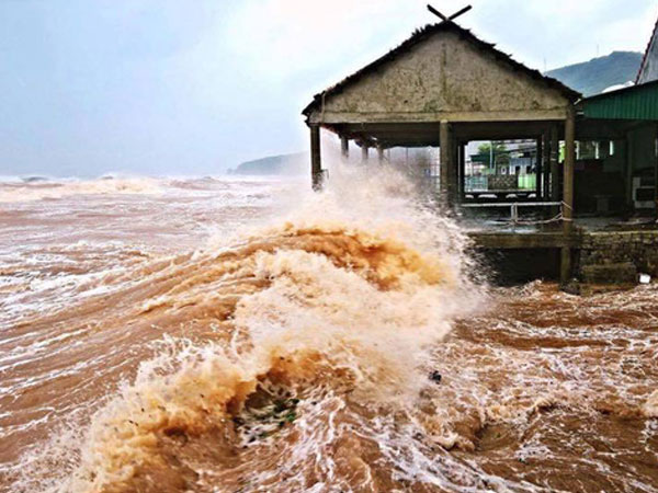 Ảnh bìa bài viết 482519