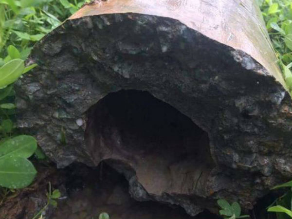 Ảnh bìa bài viết 482827