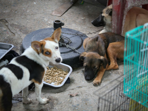 Ảnh bìa bài viết 482923