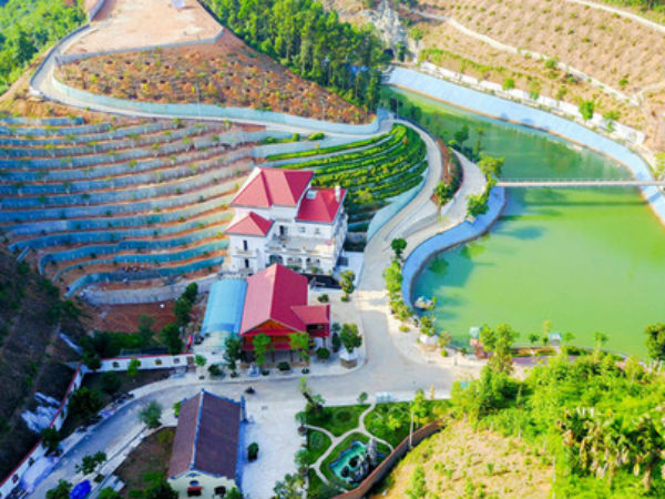 Ảnh bìa bài viết 483001