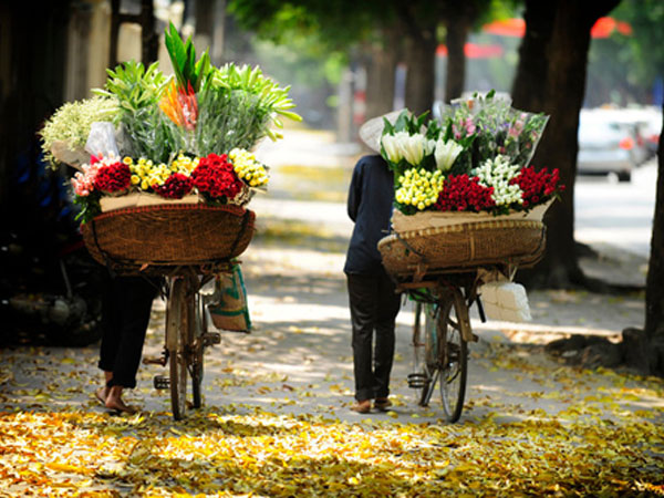 Ảnh bìa bài viết 483351