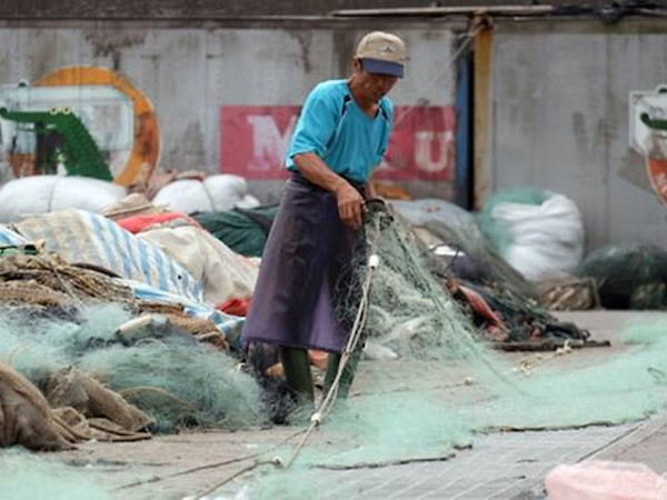 Ảnh bìa bài viết 483669