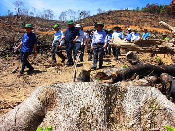 Ảnh bìa bài viết 484306