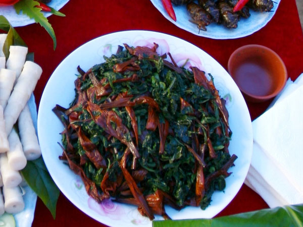 Ảnh bìa bài viết 484779