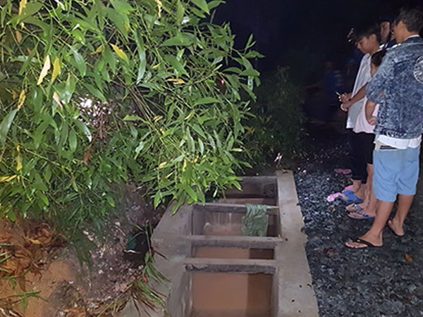 Ảnh bìa bài viết 485411
