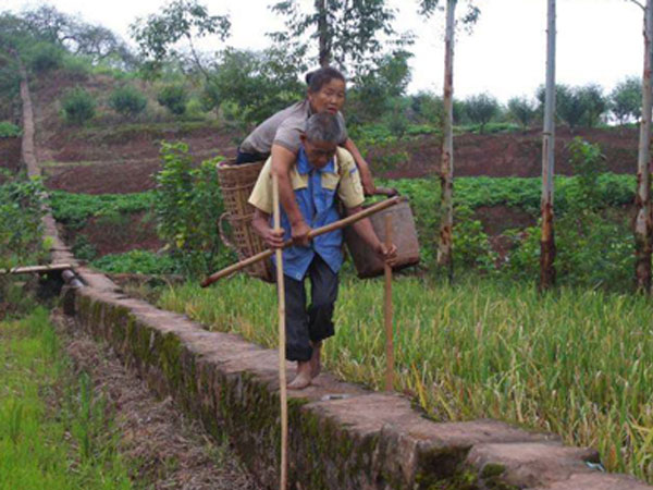 Ảnh bìa bài viết 485514