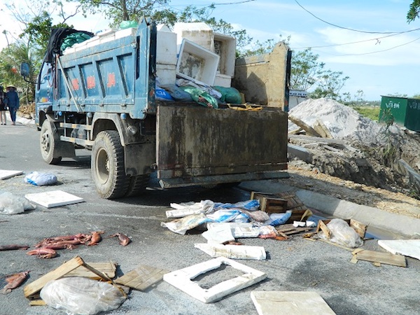 Ảnh bìa bài viết 486288