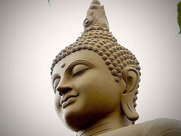 Ảnh bìa bài viết 486523