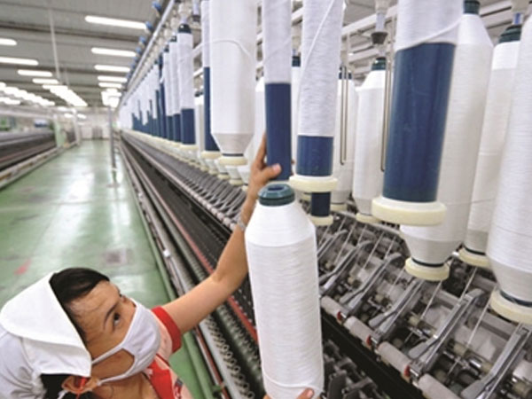 Ảnh bìa bài viết 486526
