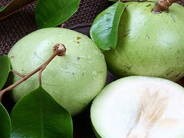 Ảnh bìa bài viết 487577