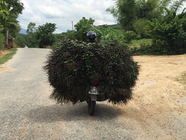 Ảnh bìa bài viết 487642