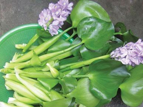 Ảnh bìa bài viết 487816