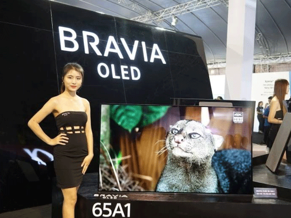 Ảnh bìa bài viết 487836