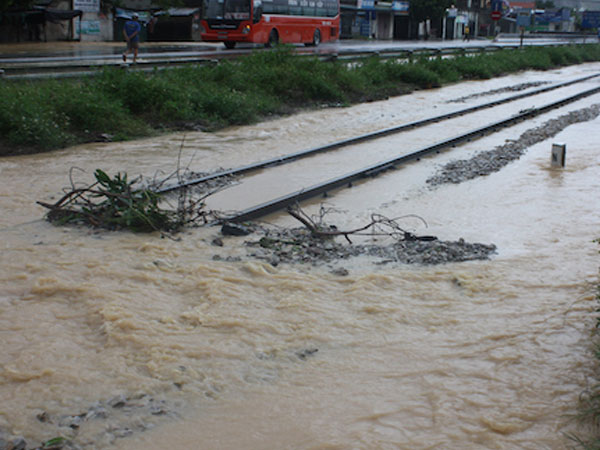 Ảnh bìa bài viết 488532
