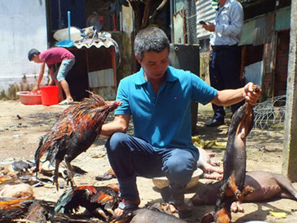 Ảnh bìa bài viết 488637