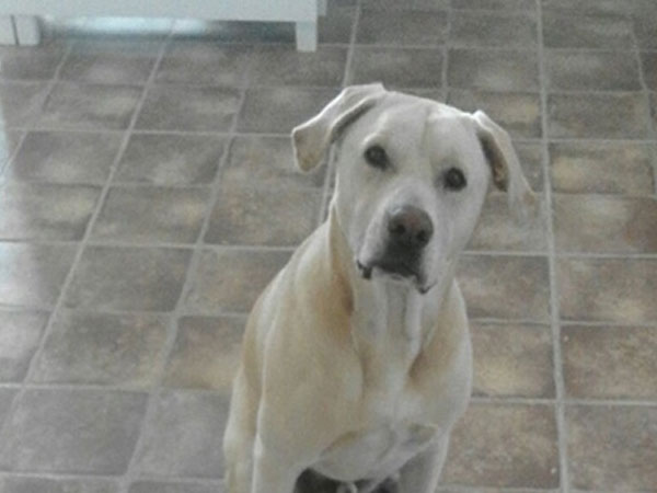 Ảnh bìa bài viết 489570