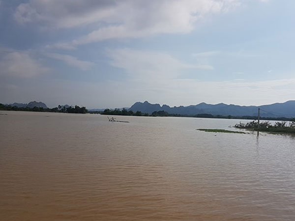 Ảnh bìa bài viết 489595