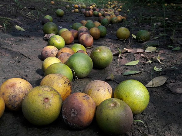 Ảnh bìa bài viết 490320