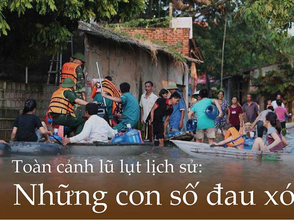 Ảnh bìa bài viết 490186