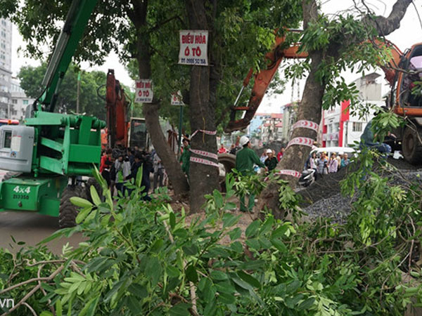 Ảnh bìa bài viết 490512