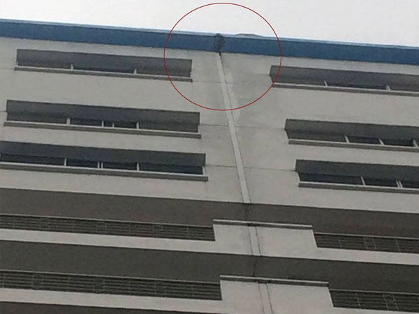 Ảnh bìa bài viết 490607