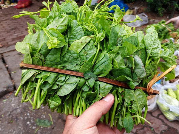 Ảnh bìa bài viết 490864