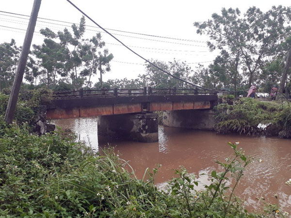 Ảnh bìa bài viết 491105