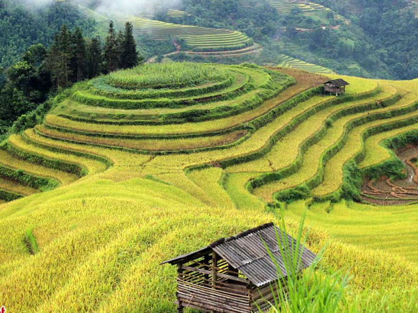 Ảnh bìa bài viết 491303