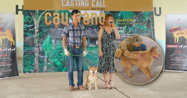 Ảnh bìa bài viết 638123