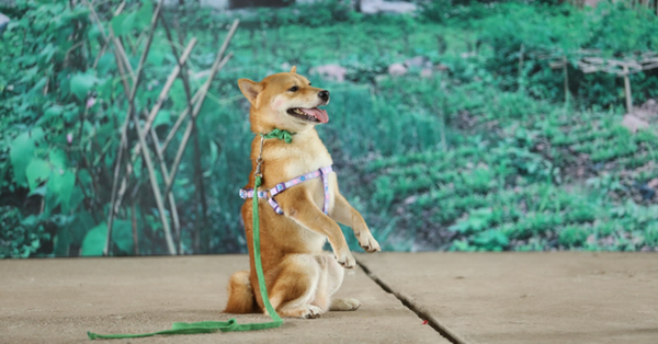 Ảnh bìa bài viết 638399