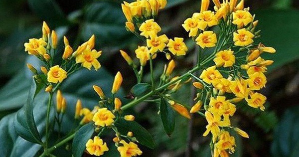 Ảnh bìa bài viết 638651