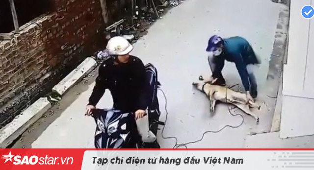 Ảnh bìa bài viết 638810