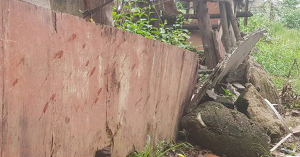 Ảnh bìa bài viết 640725