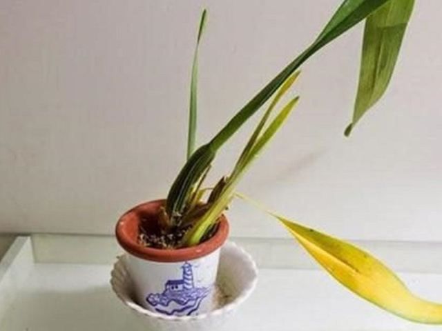 Ảnh bìa bài viết 641236