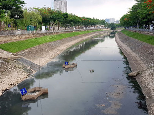 Sông Tô Lịch 'có thể thả cá' sau khi làm sạch bằng công nghệ Nhật