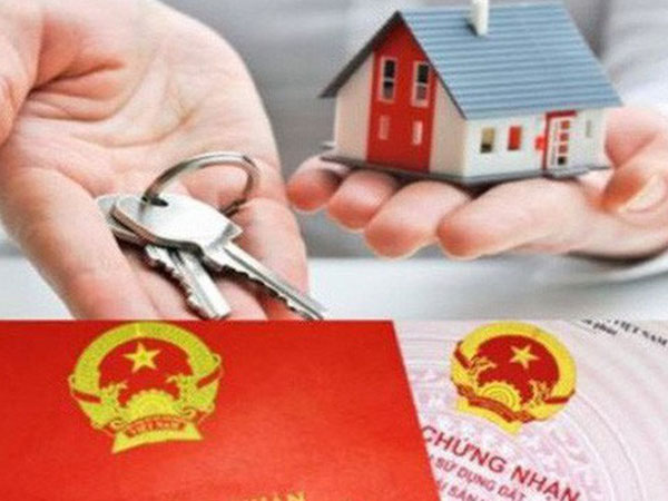 Núp bóng người Việt, người Trung Quốc thâu tóm 'đất đẹp' tại Việt Nam