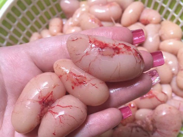 Ngọc kê tiến vua tiền triệu, đại gia tẩm bổ như 'thần dược'